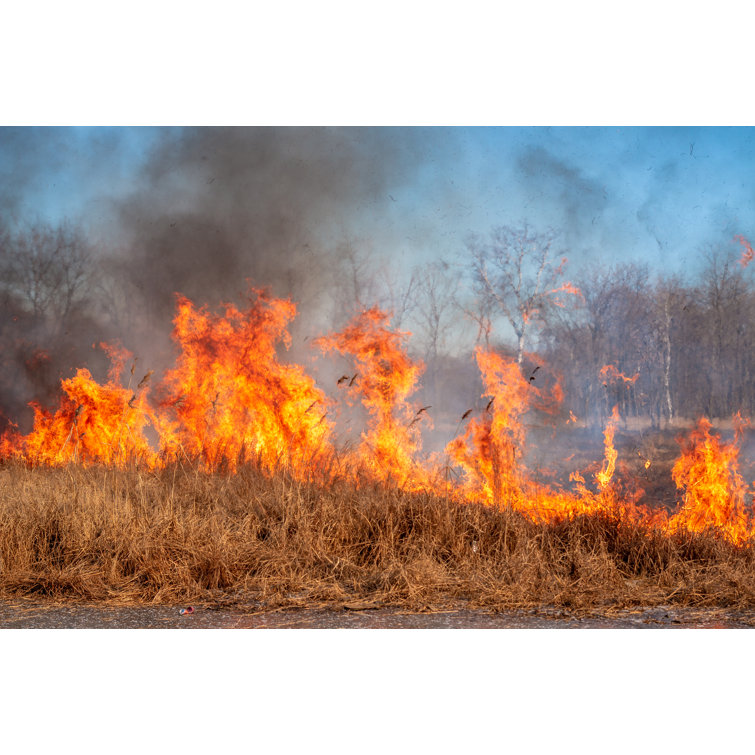 17 Stories Fire Spreads Grass by Aleksei Nikolaev Wrapped Canvas